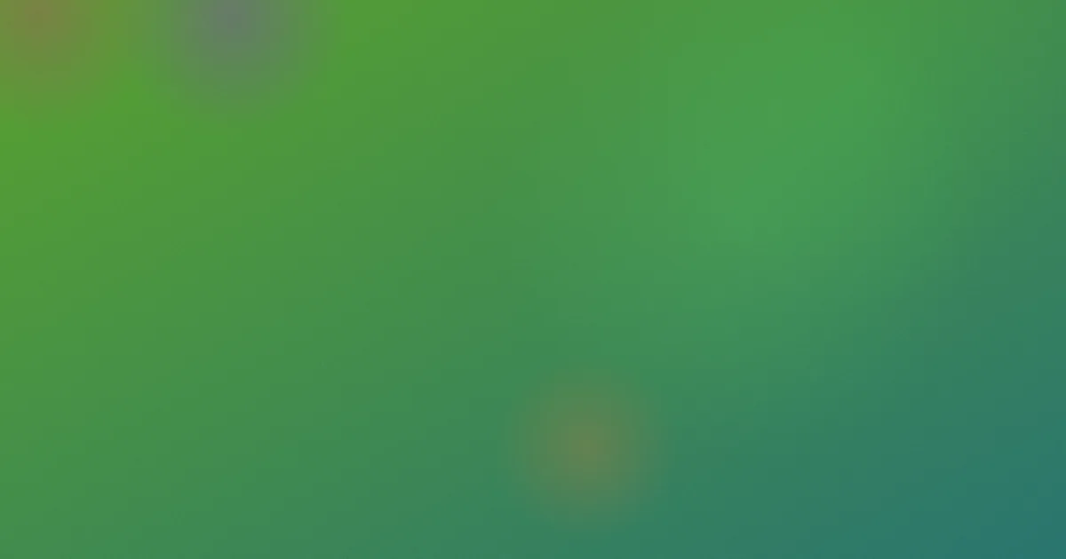 伊人伊人网怎么用？实测对比